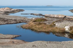 Foto: Mikael Ekström