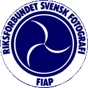 RSF Logo